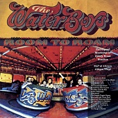 The Waterboys — Room To Roam