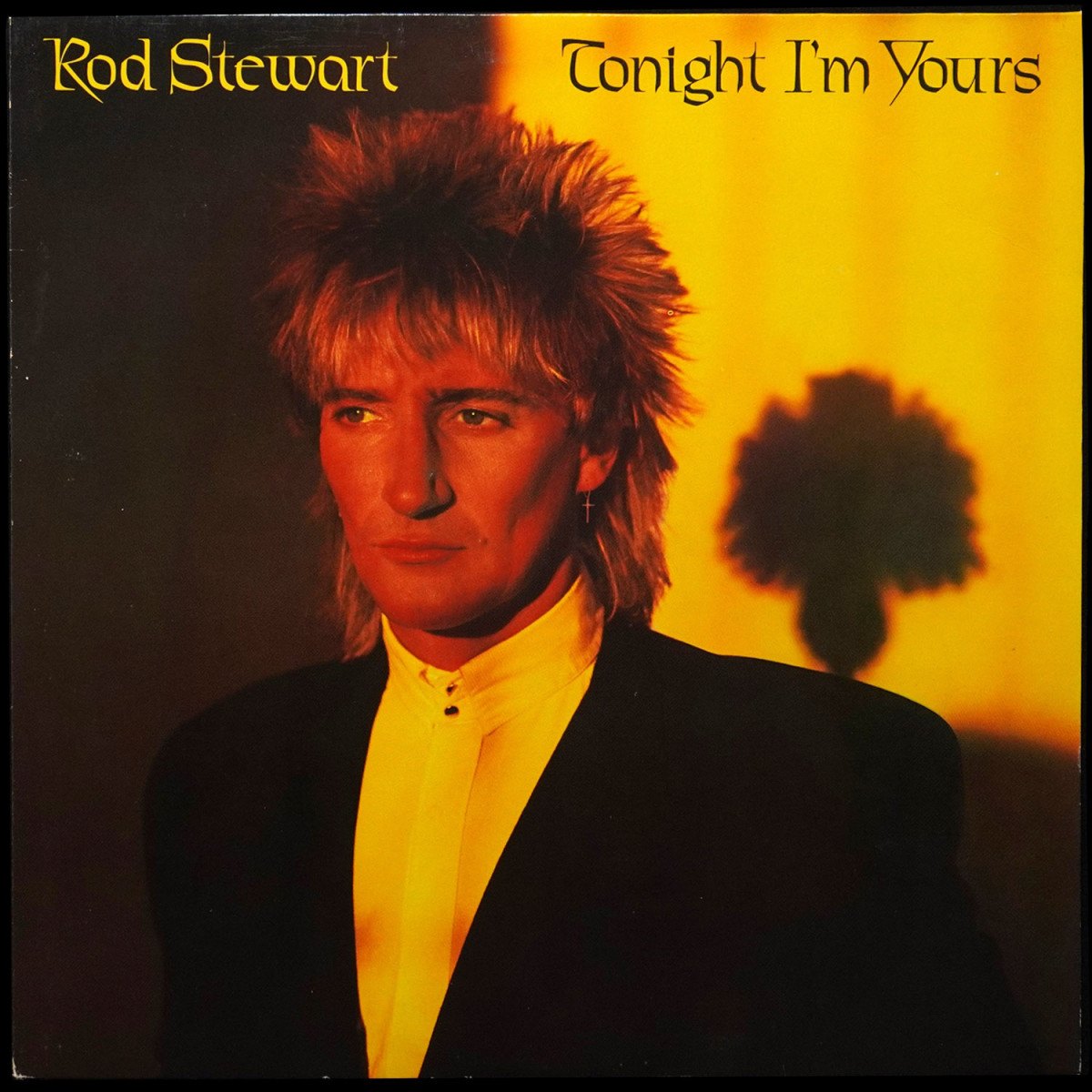 Rod Stewart — Tonight I'm Yours
