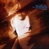 The Triffids — Calenture
