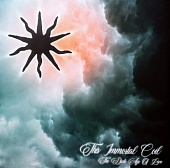 This Immortal Coil — The Dark Age Of Love