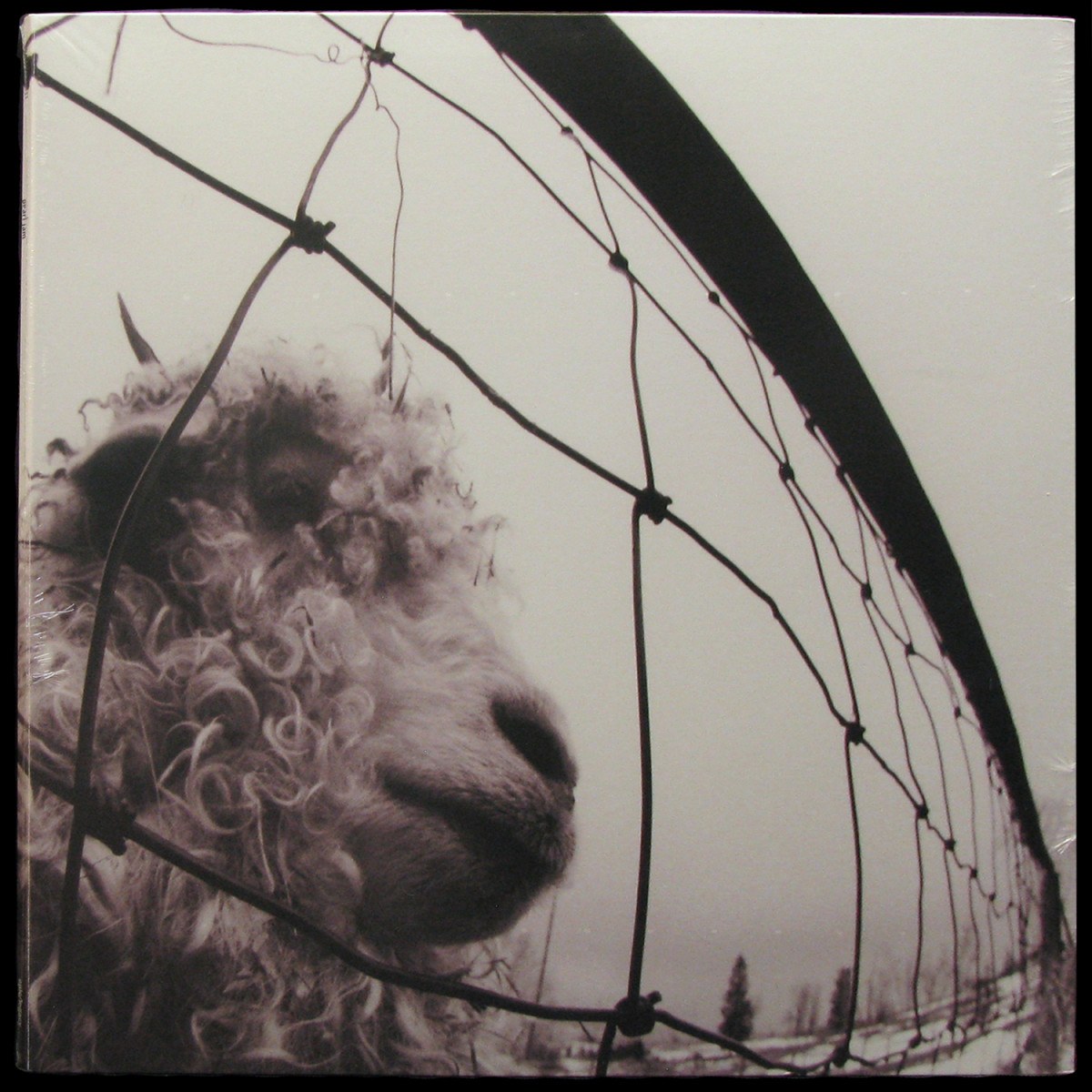 Pearl Jam — Vs.