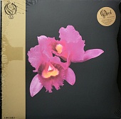 Opeth — Orchid