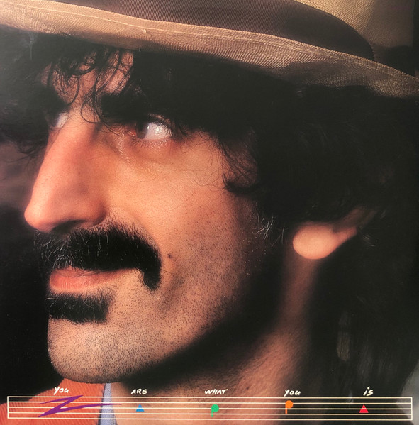 Frank Zappa — You Are What You Is
