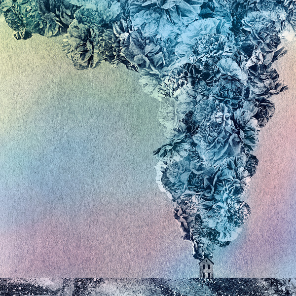 Daughn Gibson — Carnation