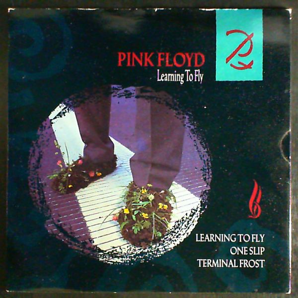 Pink Floyd — Learning To Fly
