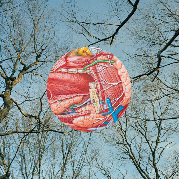 They Might Be Giants — Glean
