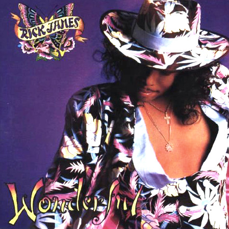 Rick James — Wonderful