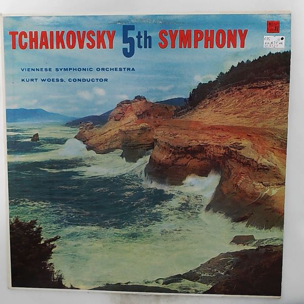 Viennese Symphonic Orchestra (Woess K.) — Tchaikovsky - Symphony no. 5 (Symphonie Nr. 5) (Чайковский)