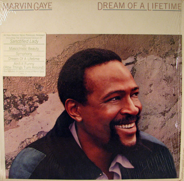 Marvin Gaye — Dream Of A Lifetime