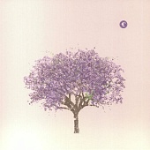 Eels — Tomorrow Morning