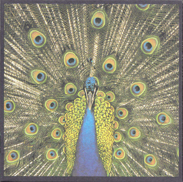 The Bluetones — Expecting To Fly