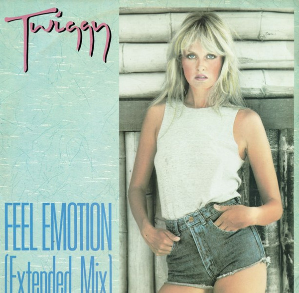 Twiggy — feel emotion (extended mix)