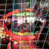 Animal Collective — Centipede Hz