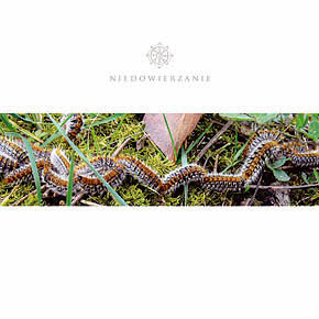 Niedowierzanie — Niedowierzanie