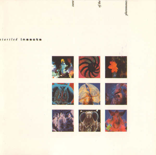 Startled Insects — Curse Of The Pheromones