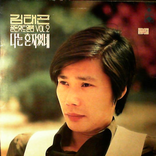 Kim Tae Gon — Golden Hits Vol.2