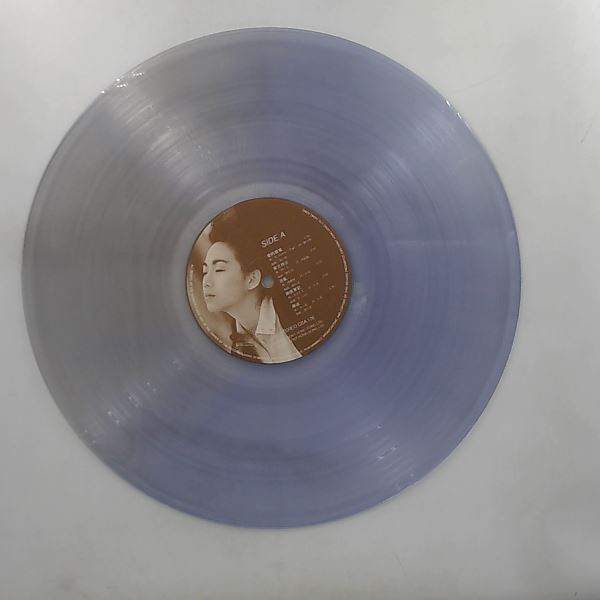 Lam Sandy (Lam Yik Lin) — Love Ruins (feat. "Ruins Of Love" - Parr J,. Martin M., "Passion" - Moroder J., etc.)