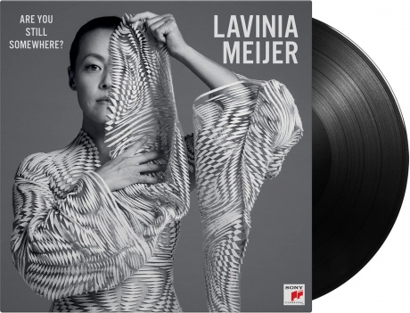 Lavinia Meijer — Are You Still Somewhere?