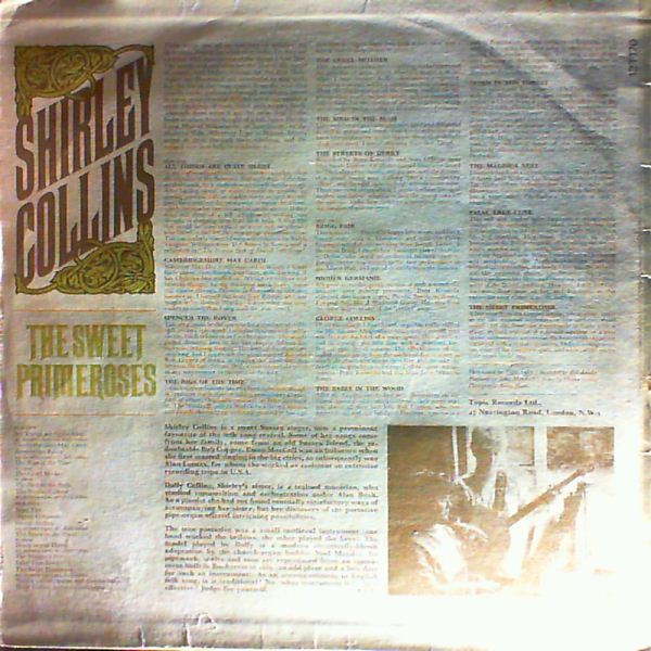 Collins Shirley — Sweet Primeroses