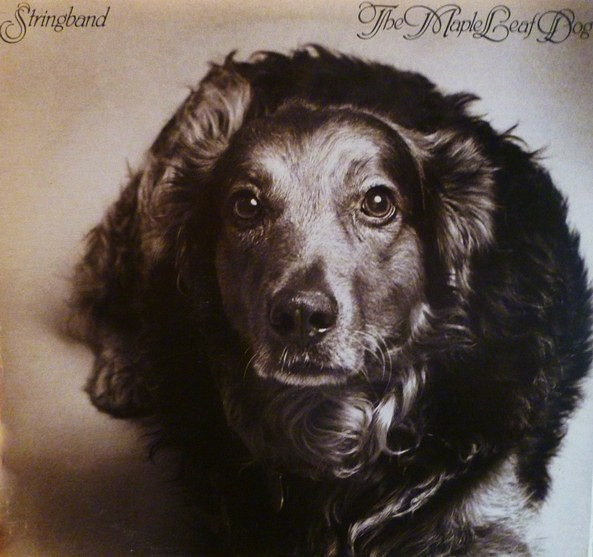 Stringband — The Maple Leaf Dog
