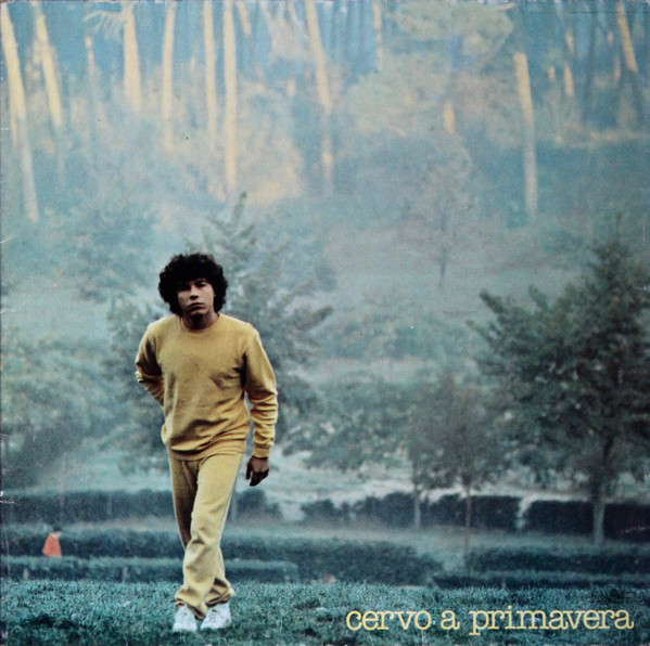 Cocciante Riccardo (Cocciante Richard) — Cervo A Primavera