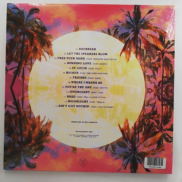 Big Gigantic — Free Your Mind