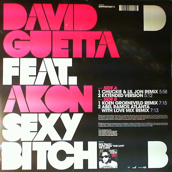 Guetta David Feat. Akon — Sexy Bitch
