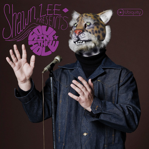 Lee Shawn — Soul In The Hole