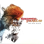 STRAPPING YOUNG LAD — The New Black