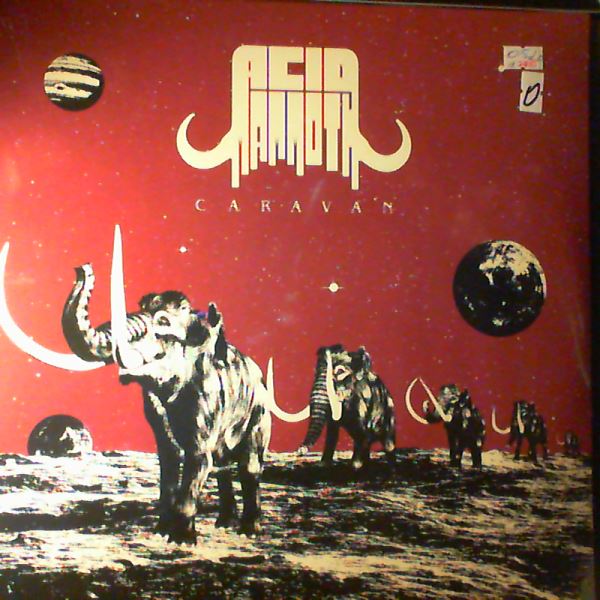 Acid Mammoth — Caravan