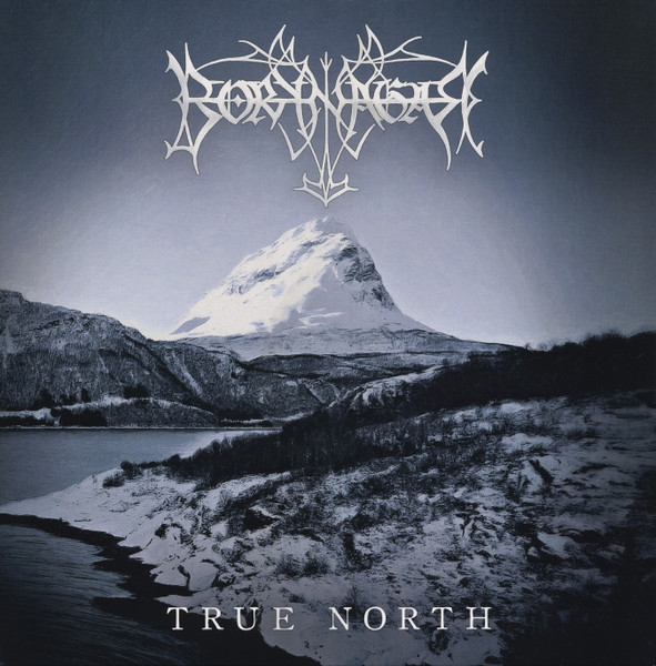 BorkNagar — True North