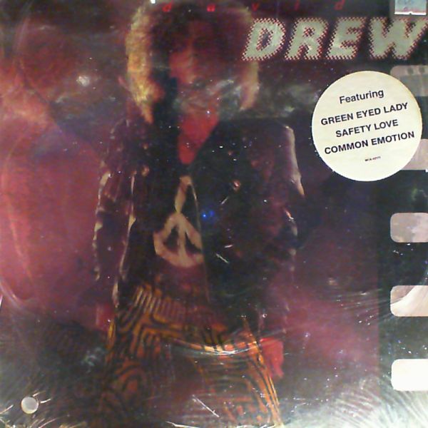 Drew David — Safety Love