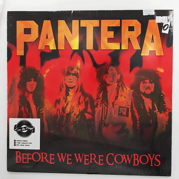 Pantera — Before We Were Cowboys