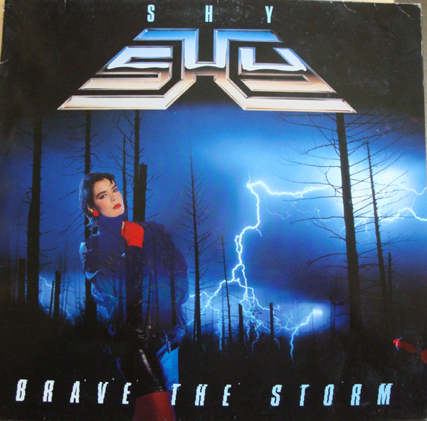 SHY (Shy England) — Brave The Storm