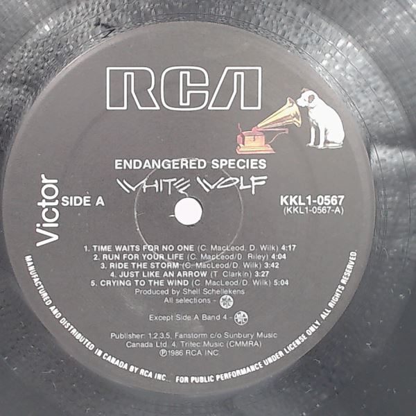 White Wolf — Endangered Species