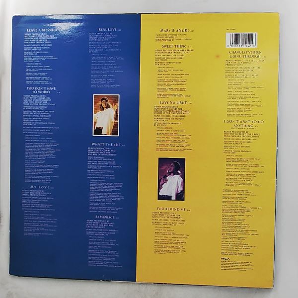 Blige Mary J. — What's The 411? Remix