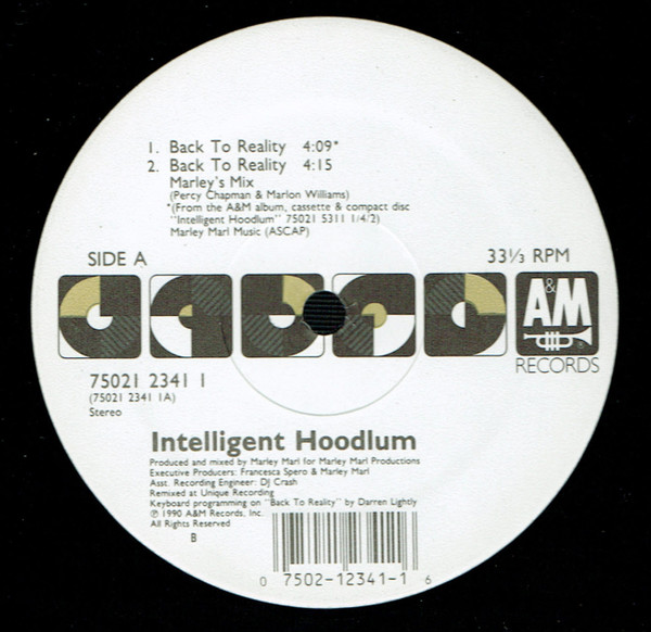 Intelligent Hoodlum — Back To Reality