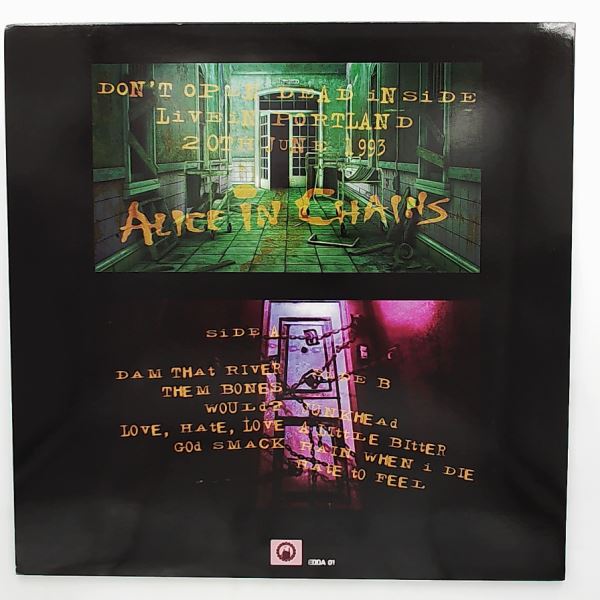 Alice In Chains — Don't Open Dead Inside (Live in Portland, Oregon on June 20, 1993)