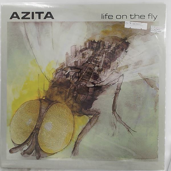 Azita (Youssefi Azita) — Life On The Fly
