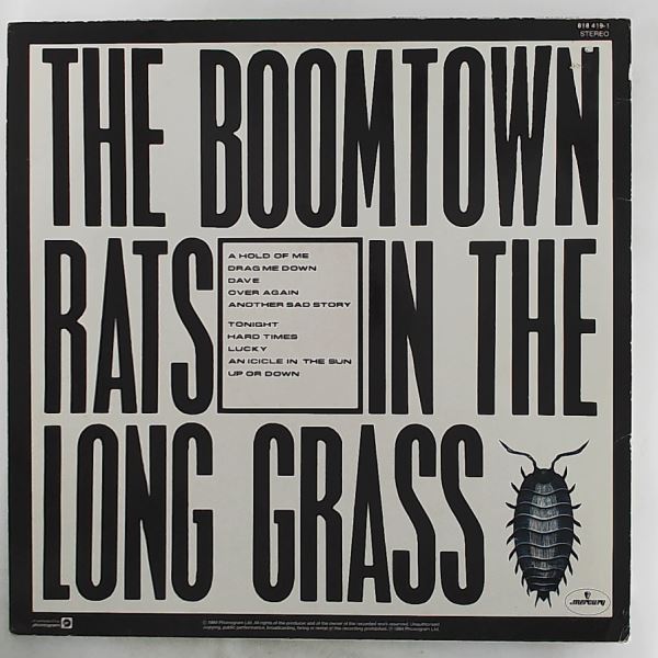 Boomtown Rats — In The Long Grass