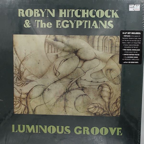Hitchcock Robyn (Soft Boys) & The Egyptians — Luminous Groove