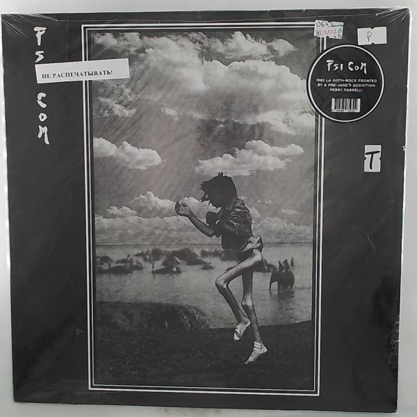 Psi Com — Psi Com