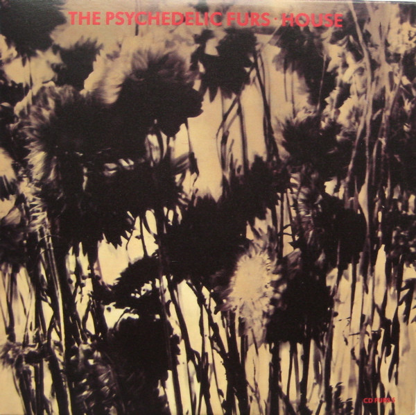 Psychedelic Furs — House