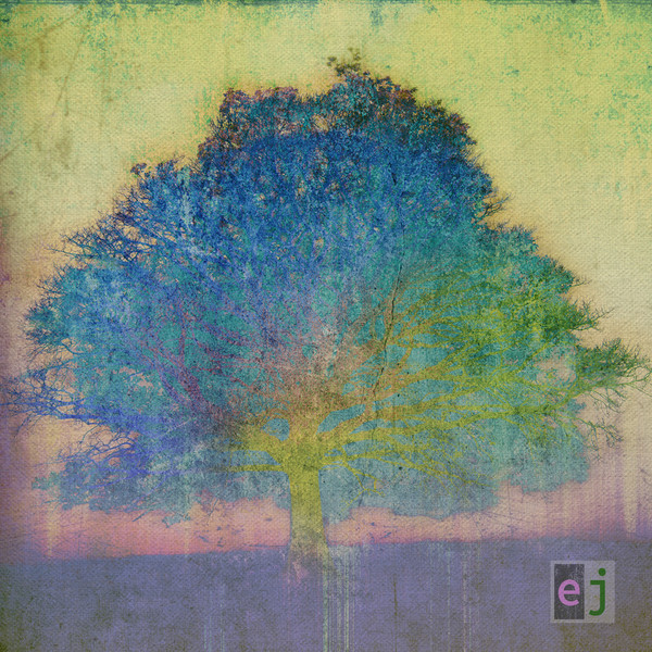 Eric Johnson — EJ