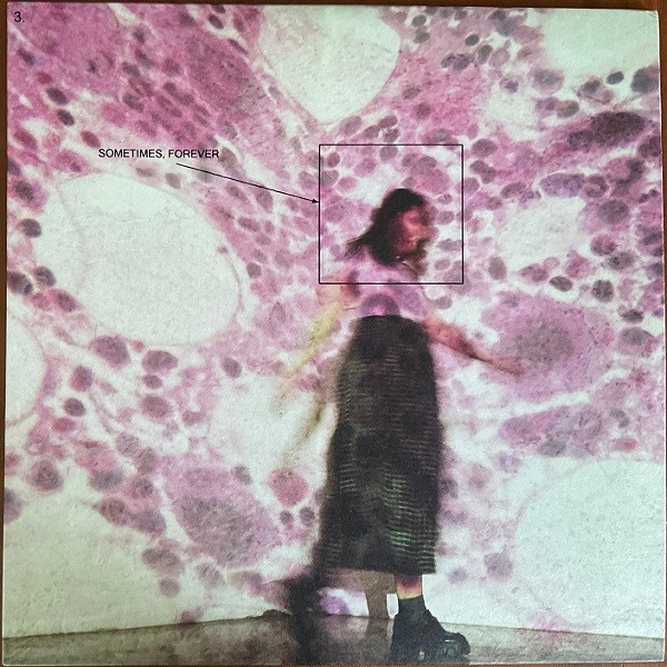 Soccer Mommy — Sometimes, Forever