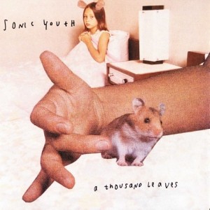Sonic Youth — A Thousand Leaves