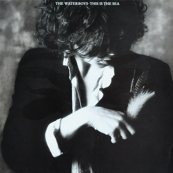 The Waterboys — This Is The Sea