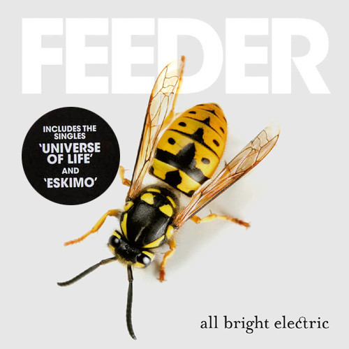 Feeder — All Bright Electric