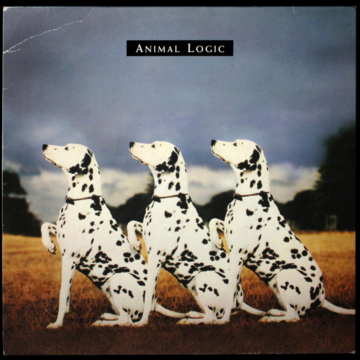 Animal Logic — Animal Logic