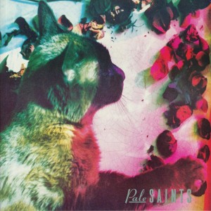 Pale Saints — The Comforts Of Madness
